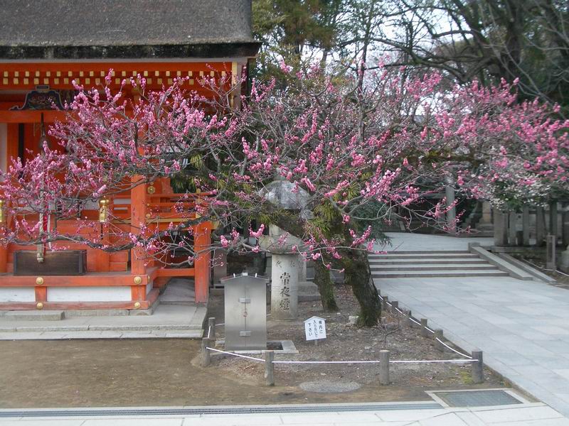 kyoto_small_4697.JPG