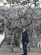 kyoto_small_4693.JPG