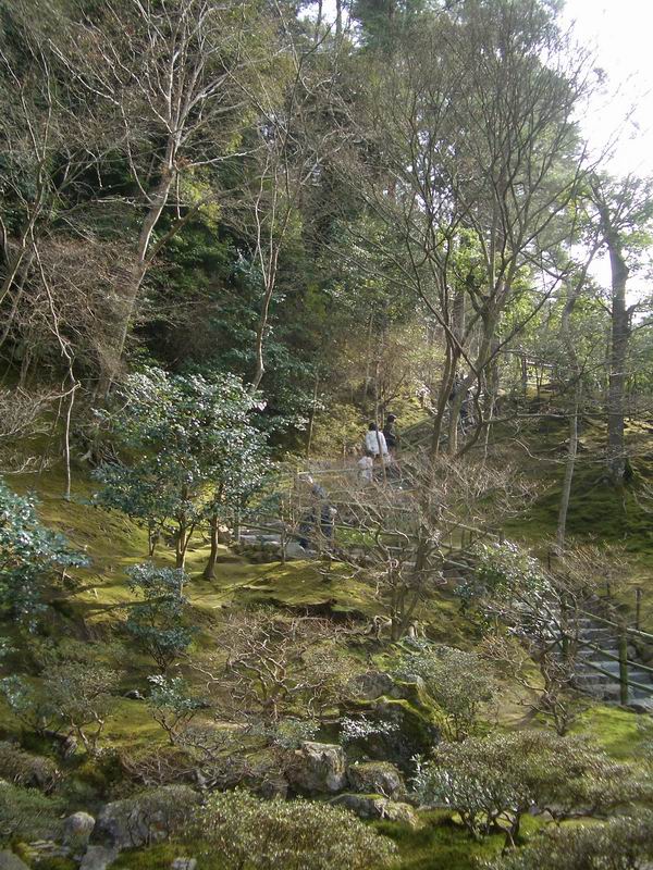 kyoto_small_4656.JPG