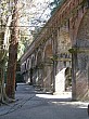 kyoto_small_4641.JPG