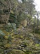 kyoto_small_4656.JPG