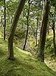 kyoto_small_4657.JPG