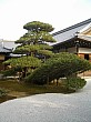 kyoto_small_4671.JPG