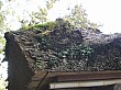 kyoto_small_4680.JPG