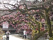 kyoto_small_4683.JPG