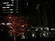 Osaka_small_4539.JPG