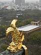 Osaka_small_4568.JPG