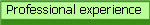 Professional experience